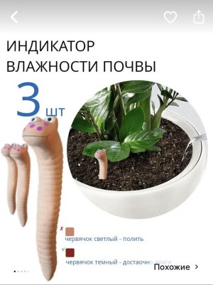 IMG_3835.jpeg