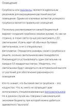 IMG_0088.jpeg