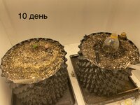 IMG_0426.jpeg