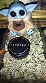 IMG_20251205_171511.jpg