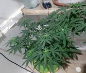 20260122_064851.jpg