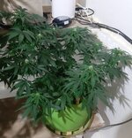 20260123_065639.jpg