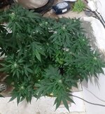 20260123_070711.jpg