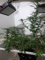 20260208_071530.jpg