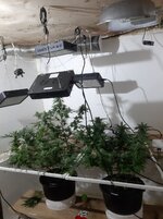 20260209_055826.jpg