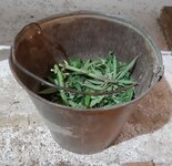 20260214_070144.jpg