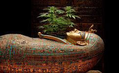 egypt.jpg egypt.jpg