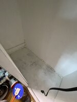 IMG_4335.jpeg