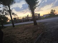 IMG_20260619_204147.jpg