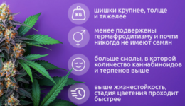 1782219406954.png