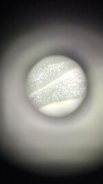 IMG_20260717_122512_909.jpg