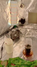 IMG_20260724_181650_984.jpg