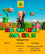 lottery-28.jpg