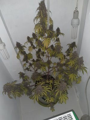 20220713_085601.jpg