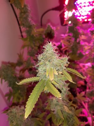 20221216_110803.jpg