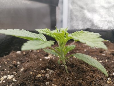 IMG_20230127_105610_059.jpg