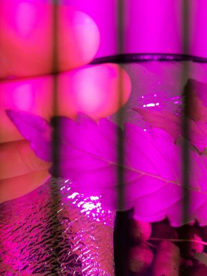 20211014_085935.jpg