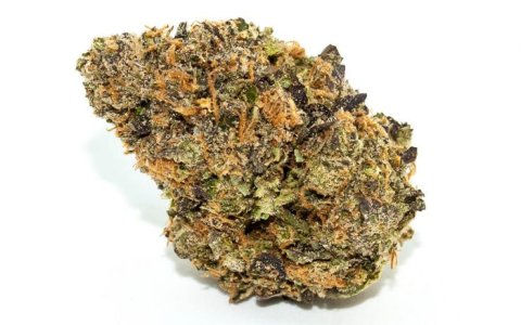 Zkittlez-by-Pistil-Point-web-1024x640.jpg Zkittlez-by-Pistil-Point-web-1024x640.jpg