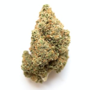 alien og.jpg