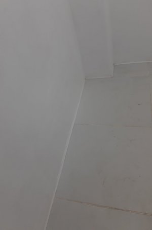 20231104_120530.jpg