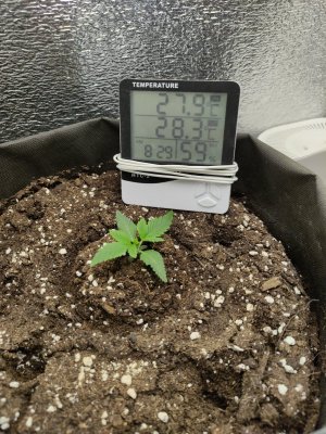 cleaned_IMG20240309203104.jpg